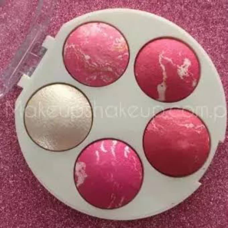 5 in 1 professional Blush on  Platte kit