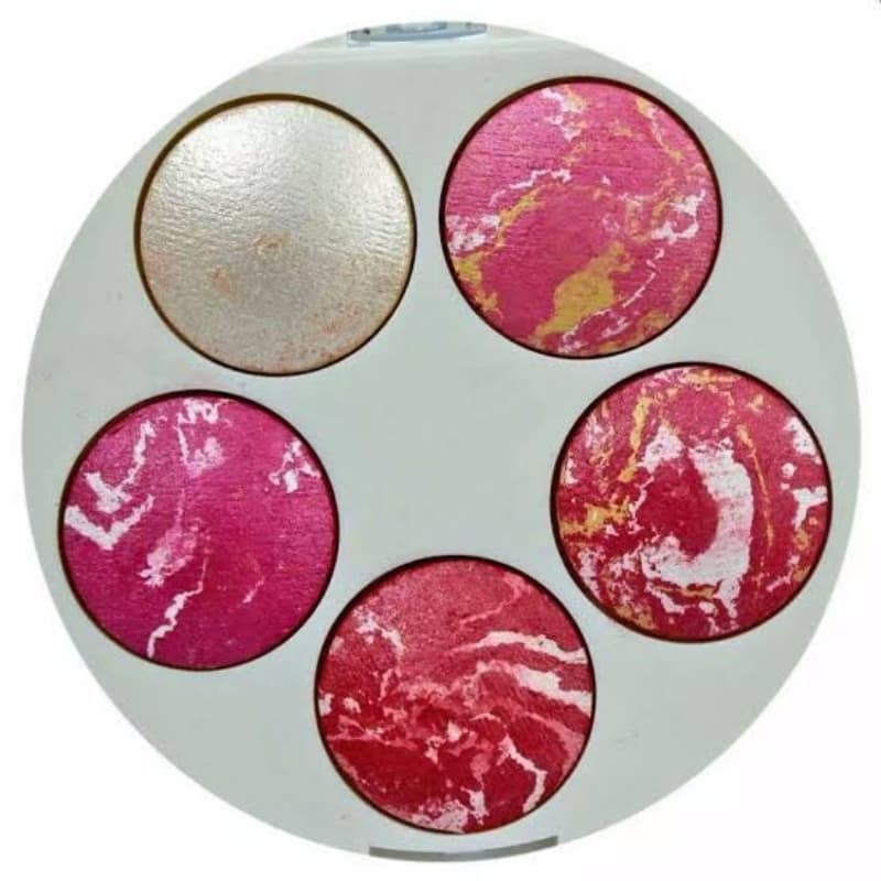 5 in 1 professional Blush on  Platte kit