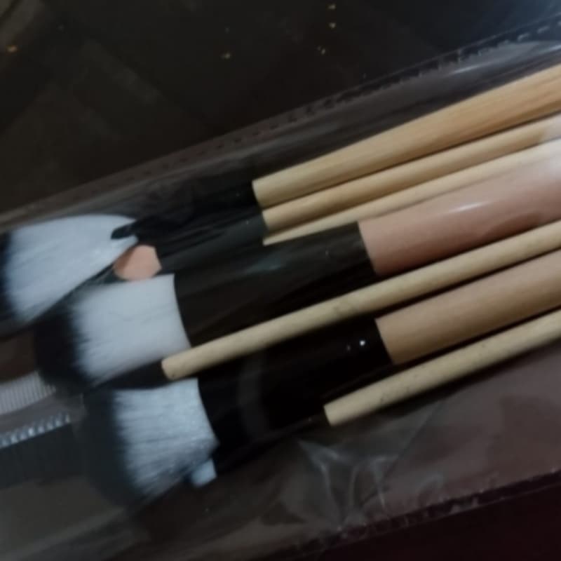 Makeup brushes set